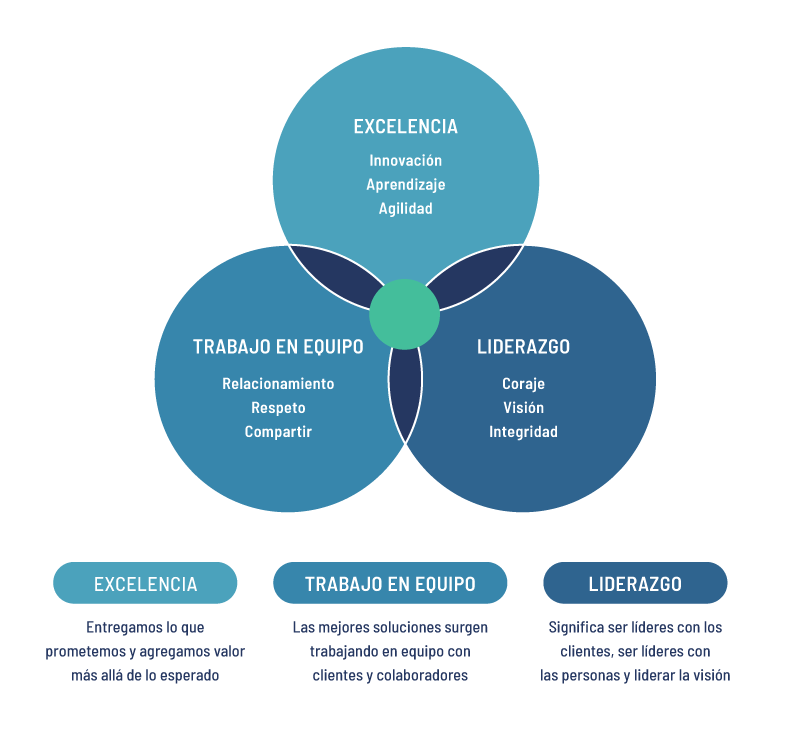 grafico valores segurmatica e1689208258534