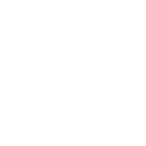 Servicios-AER 1 servicio AER white 500x500 1