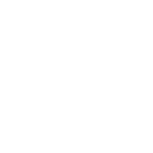 Servicios-CSI 1 servicio CRM white 500x500 1